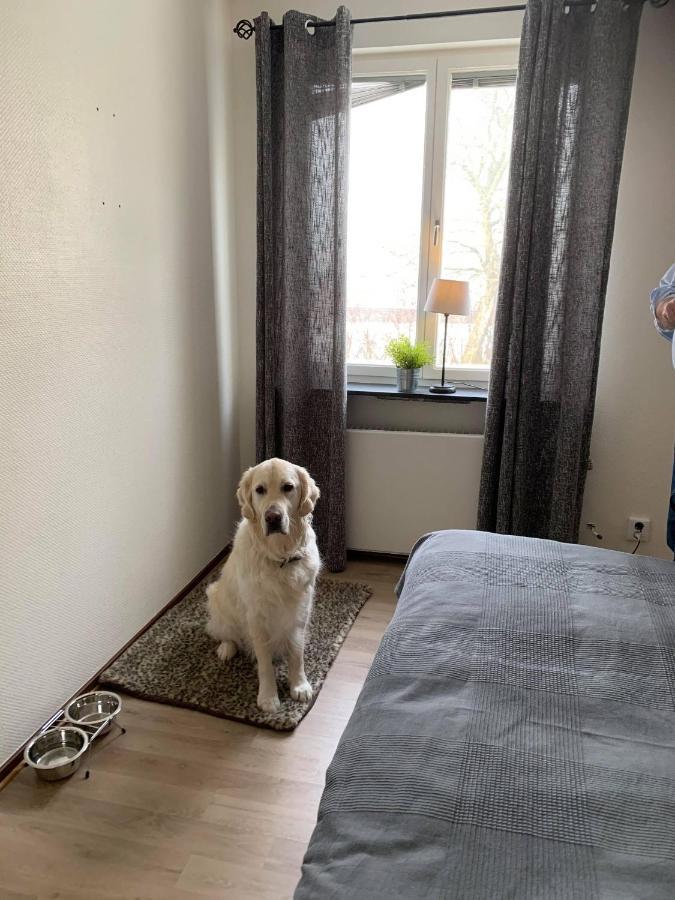Bralanda Hotell Och Vandrarhem 외부 사진